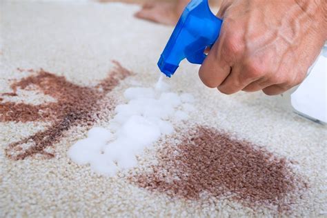 The Convenience of Oxi Magec Carpet Cleaners for Busy Lifestyles